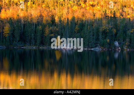 Espen und Fichten spiegelt sich in kleinen See mit Lärche am Ufer in der Nähe von Lake Superior, Rossport, Ontario, Kanada Stockfoto