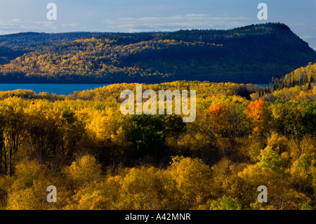 Aspen Wald mit Blick auf Lake Superior, Rossport, Ontario, Kanada Stockfoto