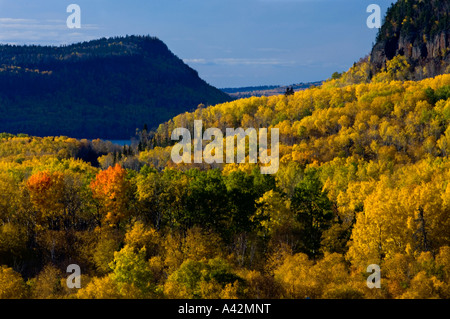 Aspen Wald mit Blick auf Lake Superior, Rossport, Ontario, Kanada Stockfoto