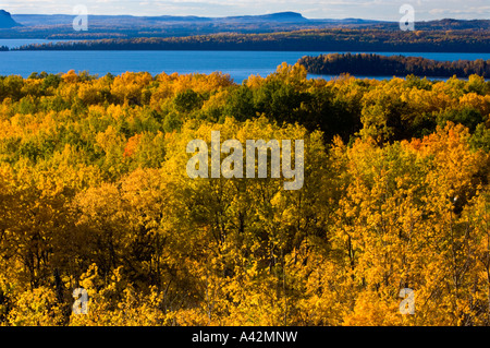 Aspen Wald mit Blick auf Lake Superior, Rossport, Ontario, Kanada Stockfoto