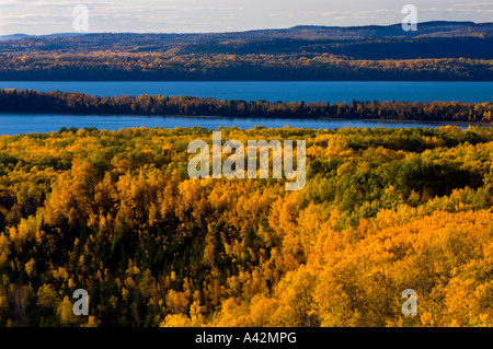 Aspen Wald mit Blick auf Lake Superior, Rossport, Ontario, Kanada Stockfoto