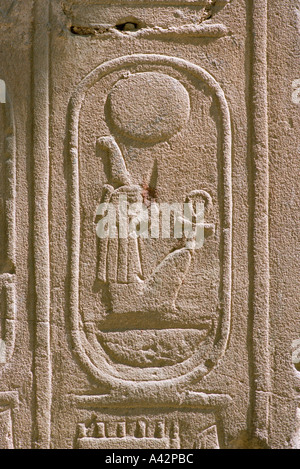Eine hieroglyphische Kartusche von Pharao Ramses geschnitzt auf einer Wand an der Tempel von Luxor, Ägypten Stockfoto