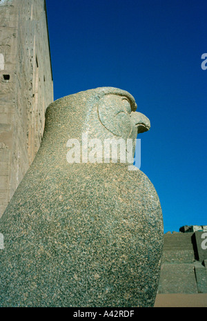 Eine enorme grüner Granitstatue des Gottes Horus Falke stehend vor seinem Tempel von Edfu auf dem Nil Stockfoto