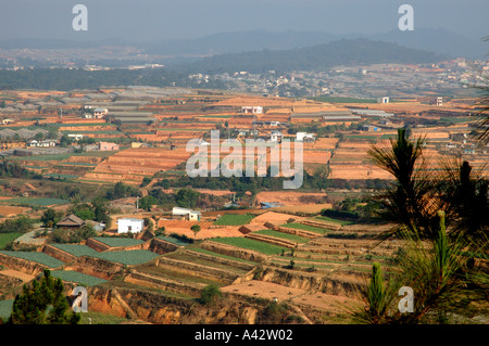 Dalat südlichen Hochland Vietnam Vietnam Asien fruchtbaren Land- und Gemüsebau land Stockfoto