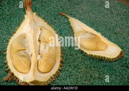 Durian übel riechenden schmackhaftes Obst aus Asien-Vietnam-Vietnam Aufschneiden der segmentierten essbare innen Durio Zibethinu zeigen Stockfoto