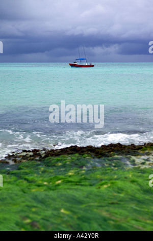 Launisch mexikanischen Seelandschaft mit einem Boot an der Küste Playa del Carmen Quintana Roo State Yucatan Peninsula Mexiko Mittelamerika Stockfoto