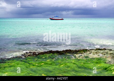 Launisch mexikanischen Seelandschaft mit einem Boot an der Küste Playa del Carmen Quintana Roo State Yucatan Peninsula Mexiko Mittelamerika Stockfoto