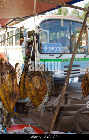 Getrockneter Fisch für Verkauf Vientiane Bus Terminal Laos Stockfoto