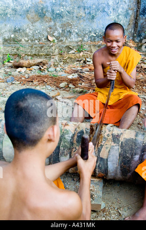 Novizen Sägen Palm Tree Wat Simixay Yaram Vang Vieng Laos Stockfoto