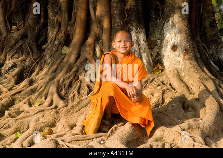 Novize vor einem Baum und Wat Kang Tempel Vang Vieng Laos Stockfoto