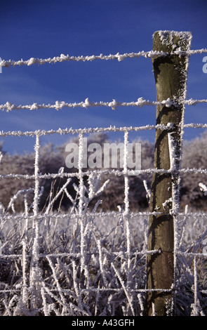 verschneiter Zaun mit Hawfrost Bredon Hill Worcestershire England uk Stockfoto