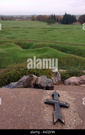 Pfeil zeigt in Richtung der Gefahr Baum am Neufundland Denkmal bei Beaumont-Hamel, Frankreich Stockfoto