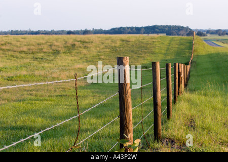 Zaun entlang grüner Weide im Abendlicht nahe Dunnellon, Florida, USA Stockfoto