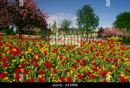 Blütenpracht, Valley Gardens, Harrogate, North Yorkshire, England, UK. Stockfoto