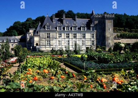 Die Gärten Chateau de Villandry Touraine Frankreich Französisch Castle Stockfoto