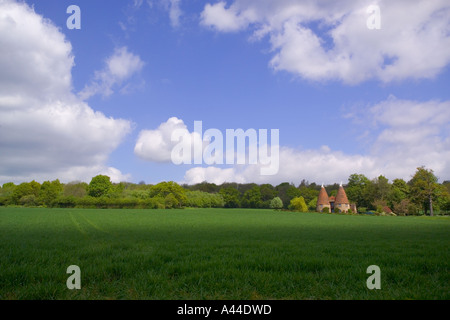 Oast Häuser in der Nähe von Ightham Mote in Kent Stockfoto