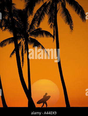 USA - HAWAII: Waikiki Sonnenuntergang auf der Insel Oahu Stockfoto