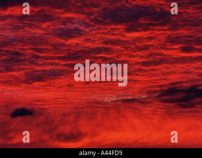 Dh Wolken SUNRISE WETTER Whispy Wütend stürmt roten Sonnenaufgang Sonnenaufgang Orkney himmel wolke Hintergrund dramatische Stockfoto
