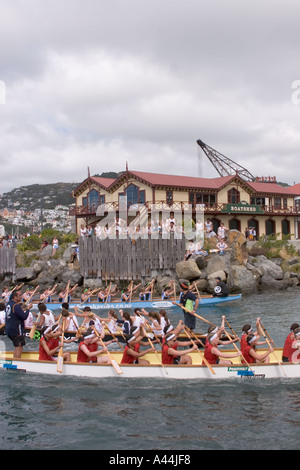 Dragon Boat Festival Wellington 2005 Stockfoto