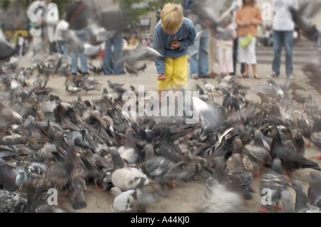 Massen von Tauben schlagen aufgeregt mit den Flügeln, während ein kleines Kind sie am Dam-Platz in Amsterdam ernährt. Stockfoto