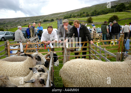 Landwirte in Schafställe, Reeth, die landwirtschaftlichen zeigen, Swaledale, North Yorkshire Stockfoto