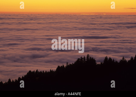 Sonnenuntergang über dem dicken Nebel an den Hängen des Mount Tamalpais State Park Kalifornien USA Stockfoto