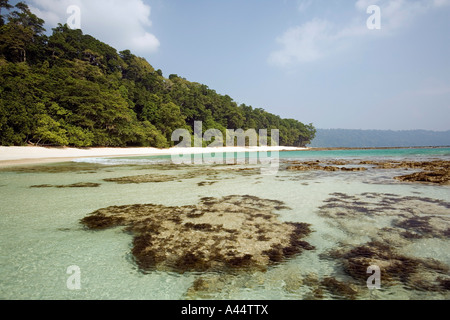 Indien-Andamanen und Nikobaren Havelock Island Radha Nagar Korallen Köpfe auf der gekrümmten Lagunenstrand Stockfoto