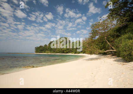 Indien-Andamanen und Nikobaren Havelock Island Radha Nagar Lagunenstrand in den frühen Morgenstunden Stockfoto