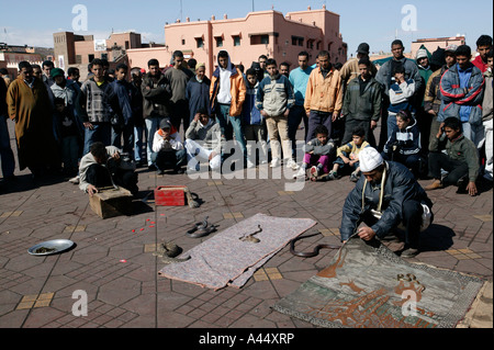 Schlangenbeschwörer zu sammeln, eine Menschenmenge, Jemaa El Fna Platz, Marrakesch / Marokko Marrakesch, Nord-Afrika 2007 Stockfoto