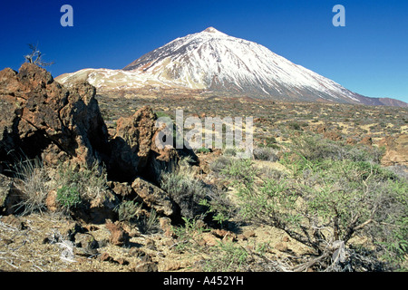 Der Teide-Teneriffa-Kanarische Inseln Stockfoto