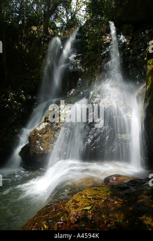 Panamalandschaft an den wunderschönen Chorro las Yayas Wasserfällen in der Nähe von El Cope in der Provinz Cocle, Republik Panama. Stockfoto