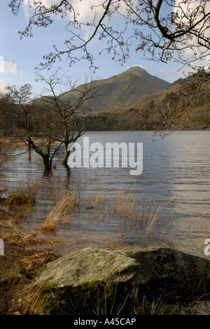 Yr Aran von Llyn Gwynant, Snowdonia, Wales Stockfoto