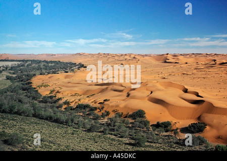 Fliegen Sie über die Dünen. Namib-Wüste, Fluss Kuiseb, Namibia, Afrika Stockfoto