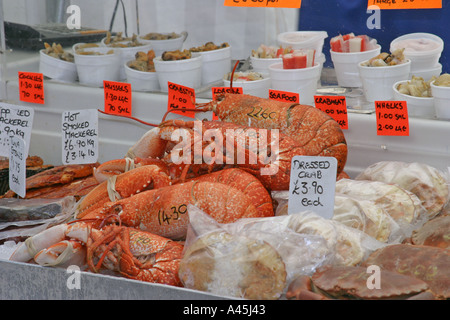 Schale Fisch Marktstand in Polperro Cornwall England Stockfoto