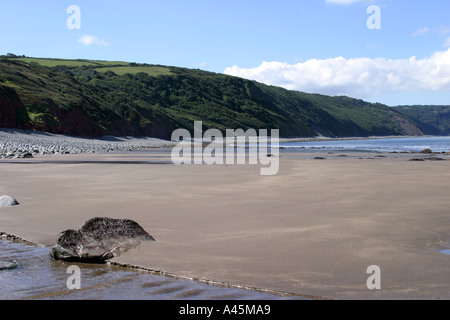 Menschenleeren Sandstrand an der Küste von North Devon Stockfoto