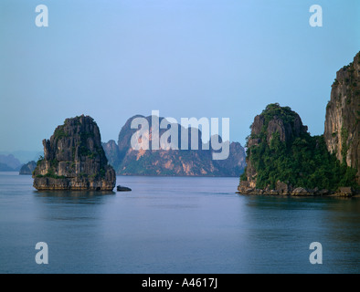 VIETNAM Süd-Ost Asien Nord Ha Long Bay Karst Kalksteininseln steigt aus dem Meer Grünpflanzen in Felswand Stockfoto