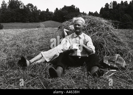 Russische Landarbeiter Rast in eine Heu-Feld in der Nähe von Petro-Zavodsk.   Nr. 28 Stockfoto