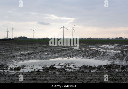 DEU Deutschland Schleswig Holstein Überschwemmung in einem Feld hinter dem Deich an der Nordsee Stockfoto