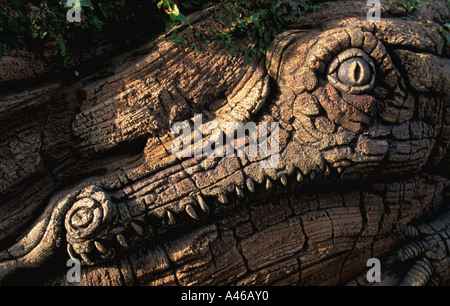 Disney World Animal Kingdom Lebensbaum Alligator Detail Stockfoto