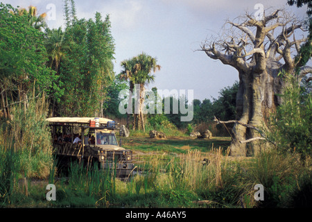 Disney World Animal Kingdom Safari LKW Baobob Bäume Stockfoto