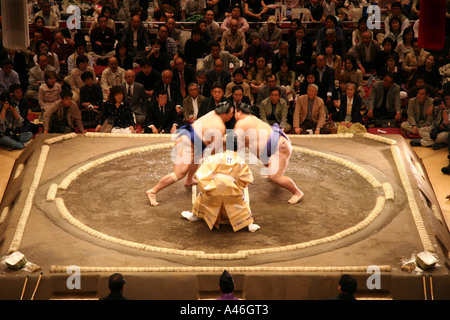 Sumo Wrestling Tokio Sumoringer Sumoringen Stockfoto