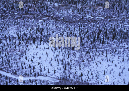 Boreal Forest Aerial View Churchill Hudson Bay Nordkanada Winter Tundra arktischen Eises Säugetier Schnee Wetter Frost kalte Stärke Stockfoto