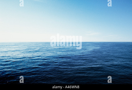 Ein Seestück Stockfoto