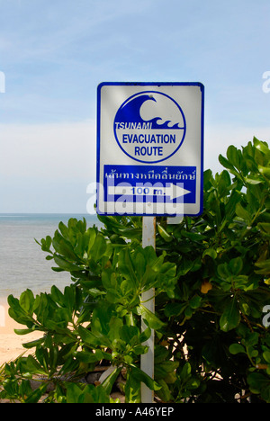 Tsunami-Schild Rettungsweg in einem Strauch am Strand Koh Libong Thailand Stockfoto