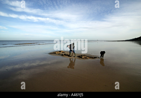 Ein Mann mit seinem besten Freund, Graben Köder auf Cromer Beach, East Anglia, England Stockfoto