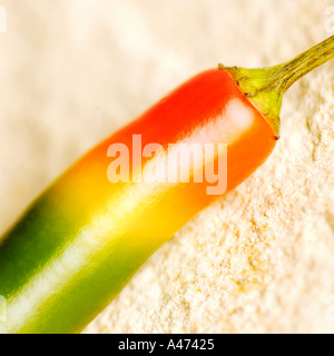 Nahaufnahme von bunten Pfeffer Stockfoto