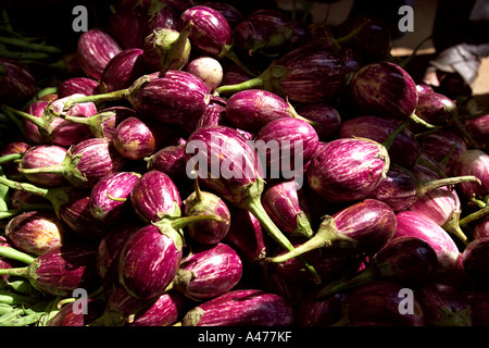 Auberginen in Russell Market Obst- und Gemüsemarkt, Bangalore, Indien, Asien. Stockfoto