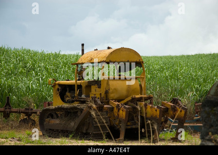 Harvester Relikt, Bulkeley Zuckerfabrik, St. George, Barbados Stockfoto