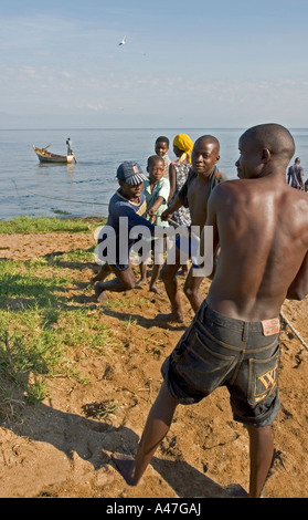 Fischer und Dorfbewohner schleppen in Netzen auf Ufer von Lake Albert, Nord-Uganda, Ostafrika Stockfoto