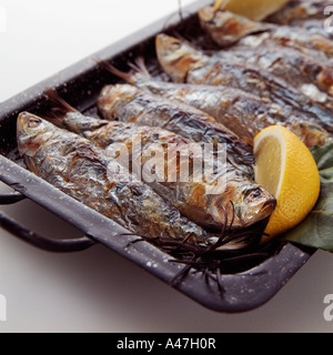 Nahaufnahme von Sardinen auf einer Grillpfanne auf weißem Hintergrund Stockfoto